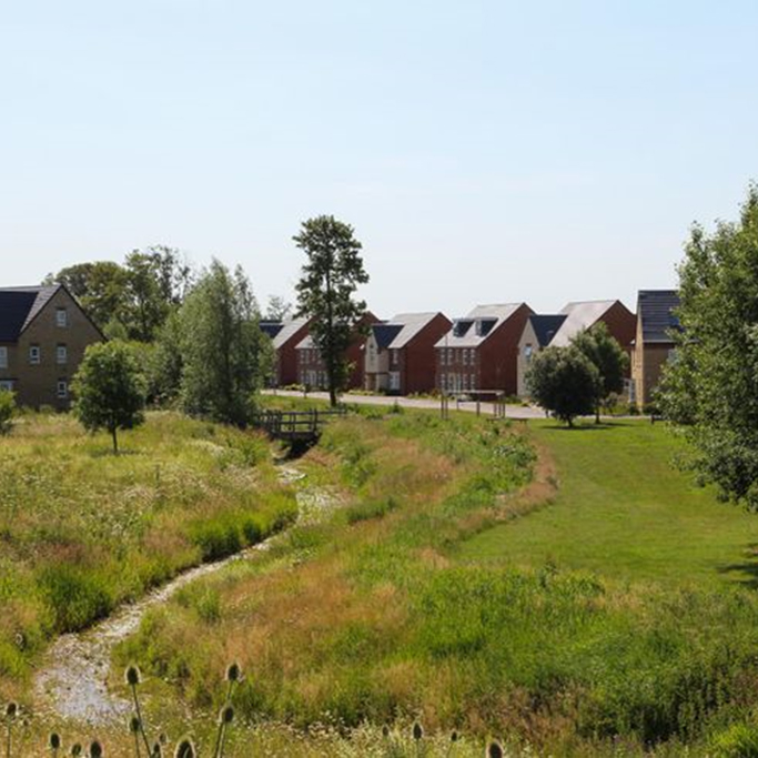 Naturalised drainage ponds