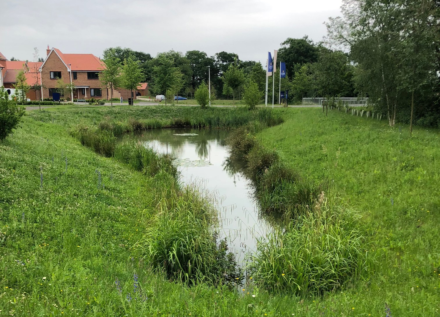 Indicative image of proposed drainage feature